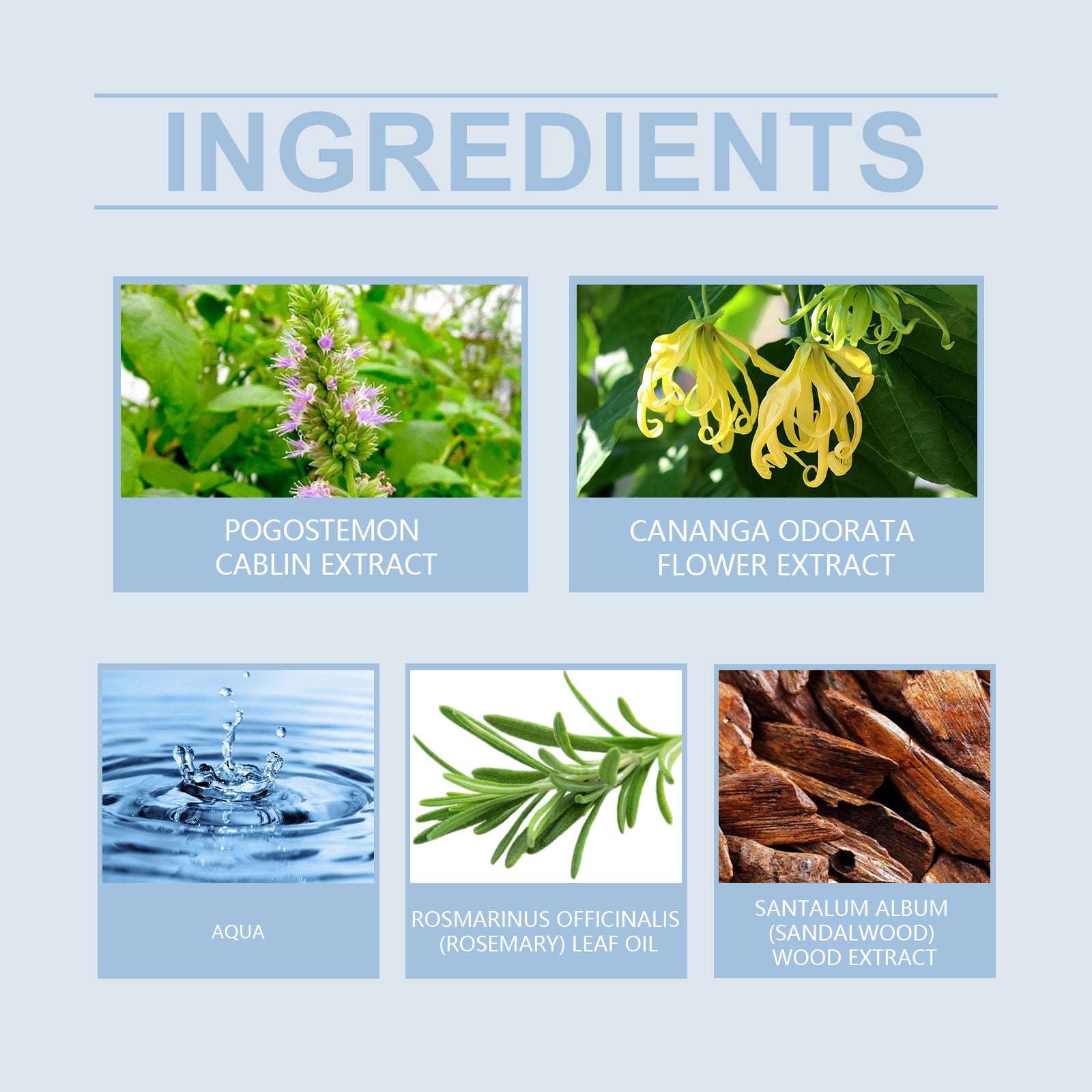 Parfum Homme Charme Naturel — Fragrance Fraîche, Élégante & Longue Tenue