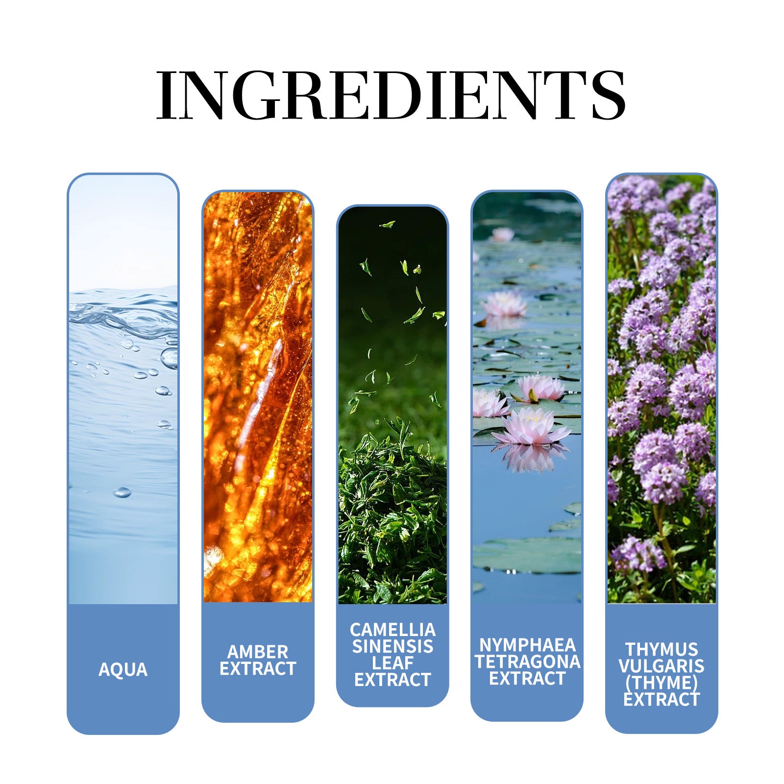 Parfum Homme Magnet Thé — Fragrance Naturelle Fraîche, Charme Couple & Dating